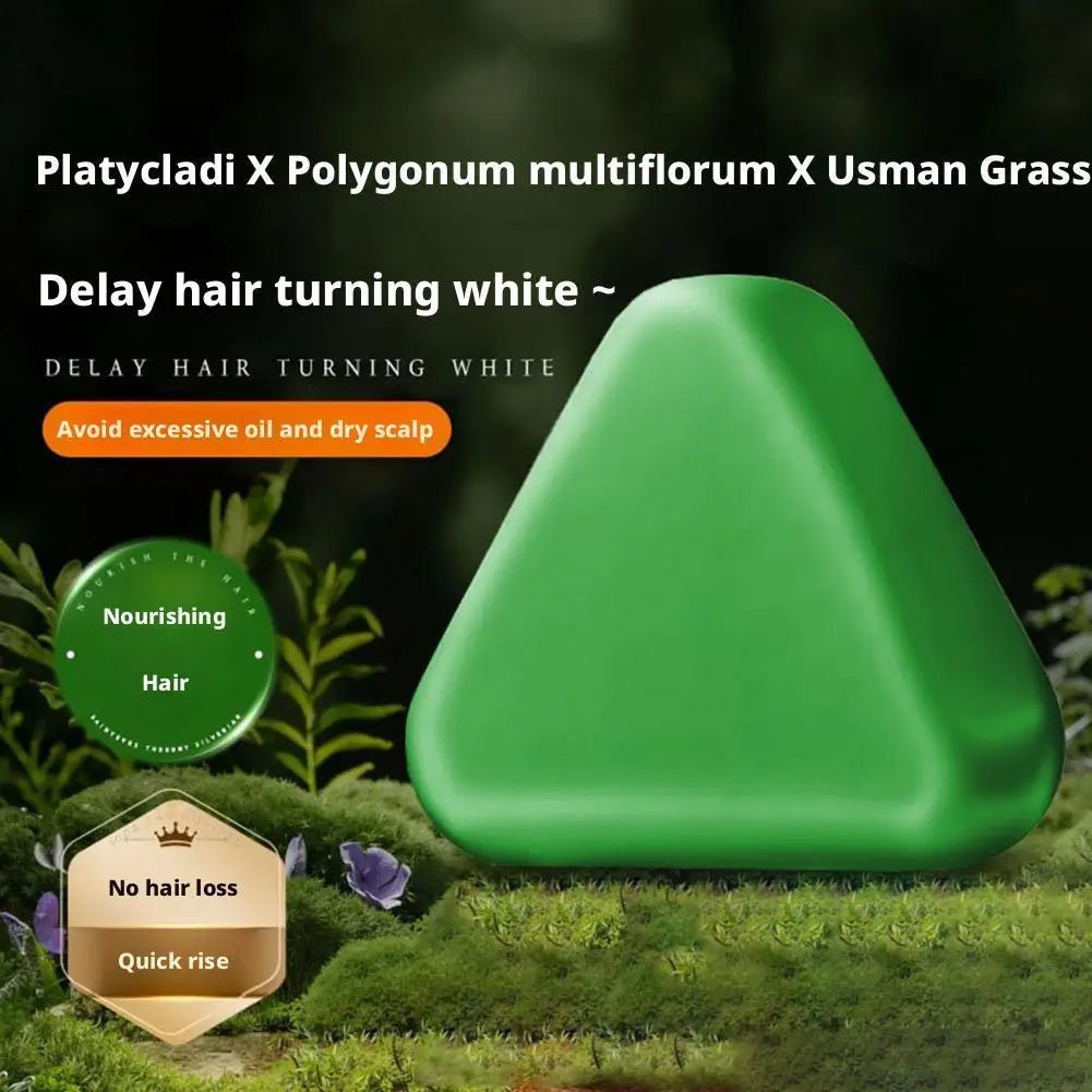 Platycladus Orientalis Shampoo Bar Natural Herbal Soap For Hair Loss Controls Oil Strengthens Root Shampoo Soap Hair Accessories - JromoCompany