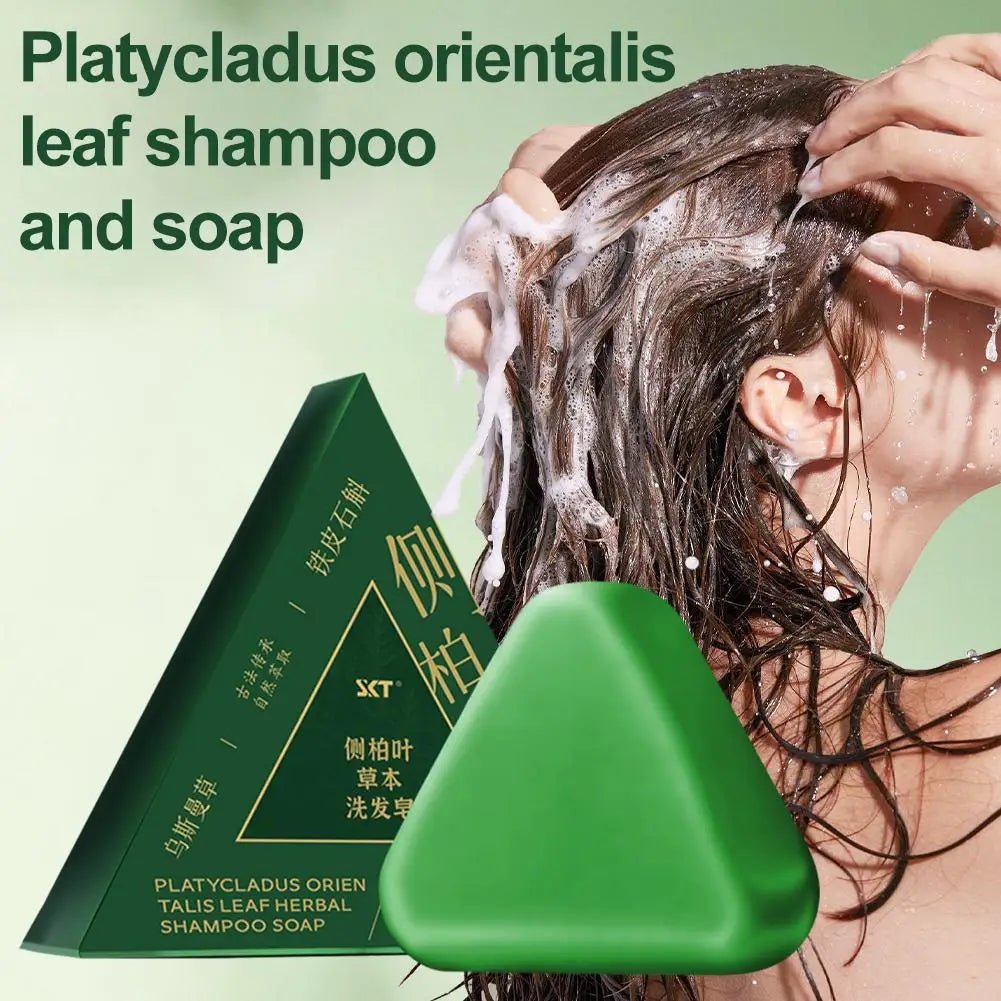Platycladus Orientalis Shampoo Bar Natural Herbal Soap For Hair Loss Controls Oil Strengthens Root Shampoo Soap Hair Accessories - JromoCompany
